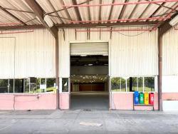 Galpão para Locação em São José dos Campos - 4