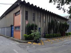 Galpão para Locação em Guarulhos - 5